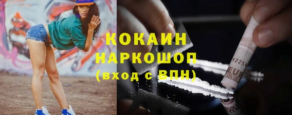 винт Армянск