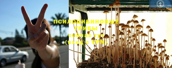 винт Армянск