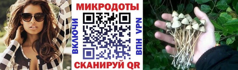 Галлюциногенные грибы прущие грибы Спасск